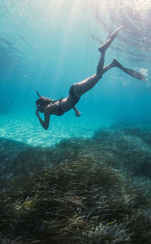Tolo Scuba Lessons