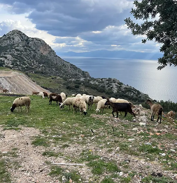 Hiking from Tolo